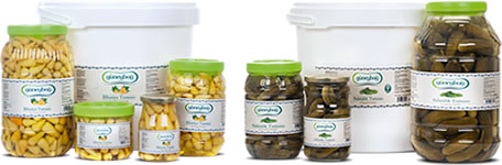 guneyliler-markalar-guneybag-img